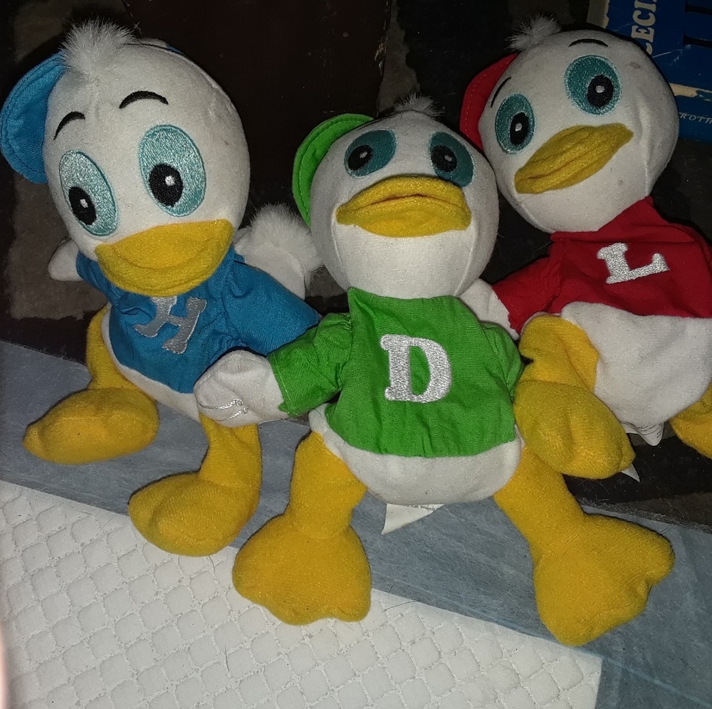 Hewey, Dewey & Louie